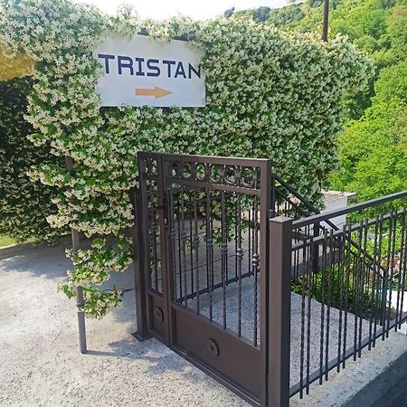 Apartman Tristan Херцег Нови Екстериор снимка