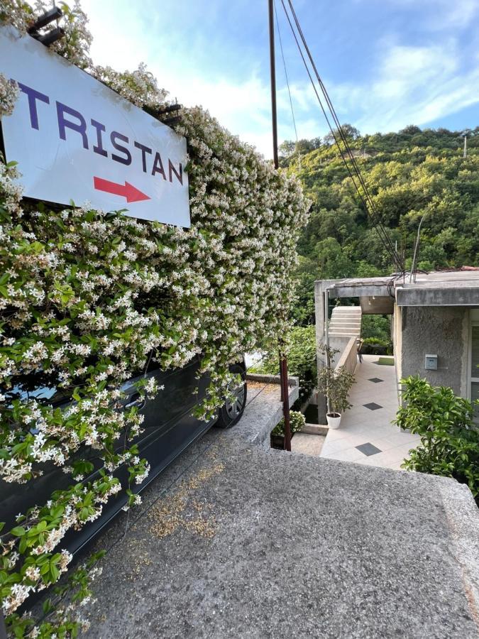 Apartman Tristan Херцег Нови Екстериор снимка