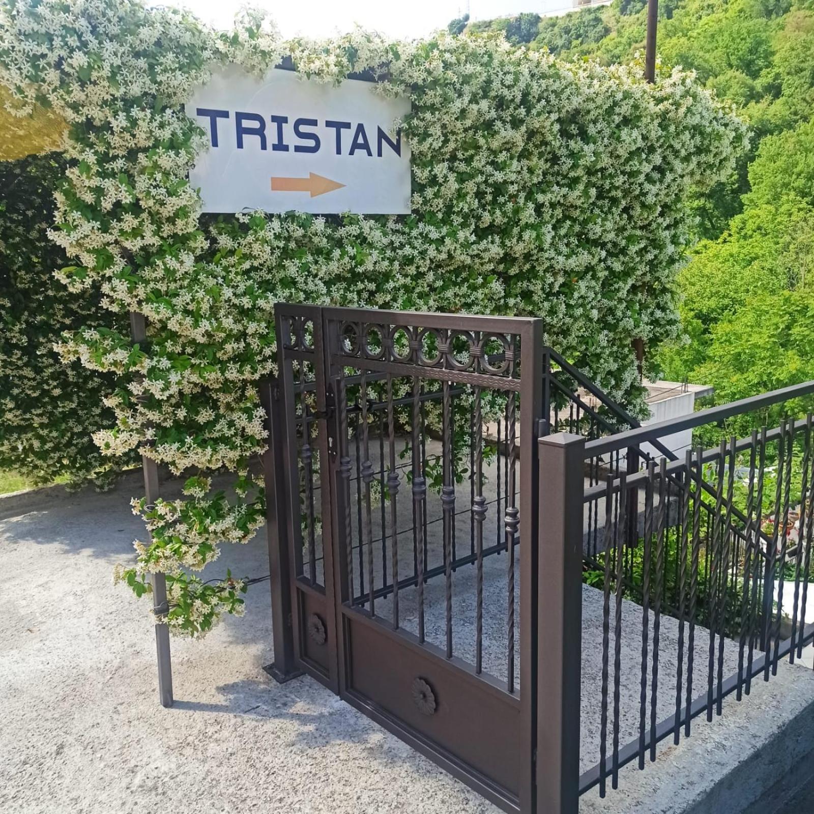 Apartman Tristan Херцег Нови Екстериор снимка